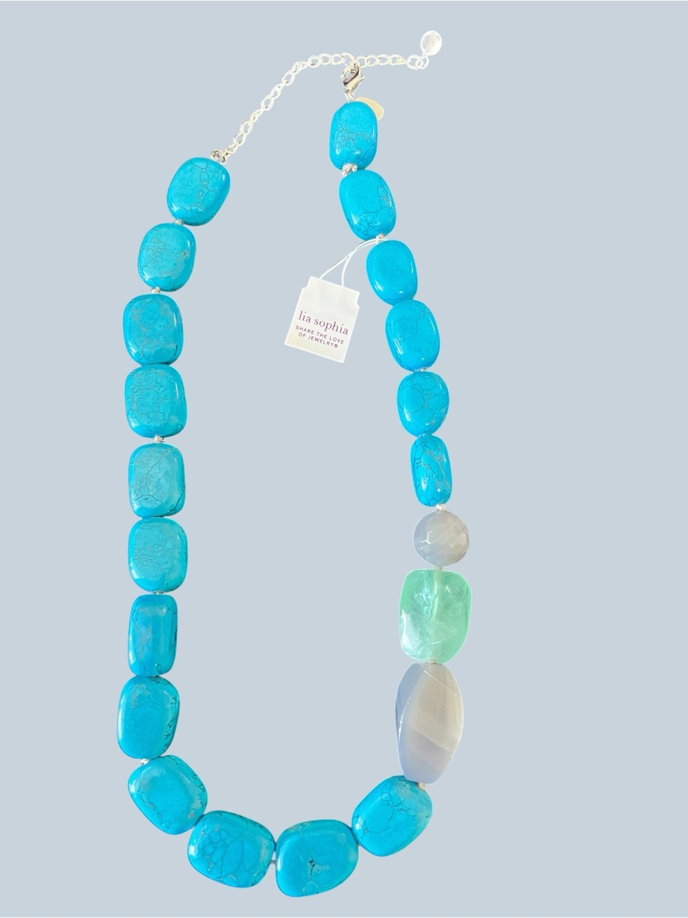Lia Sophia Turquoise and Earthy Tones Necklace